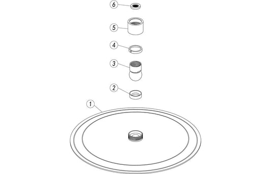 250mm Round Showerhead - Brushed Brass